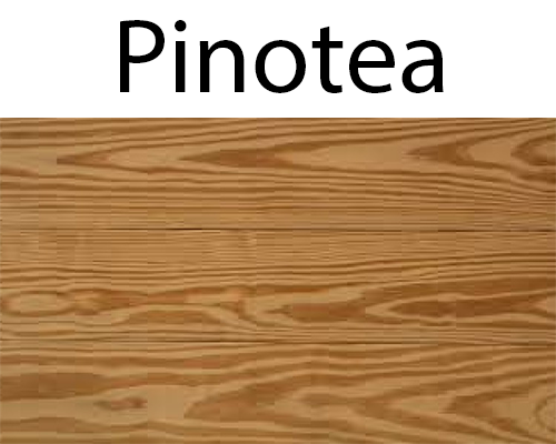PINOTEA