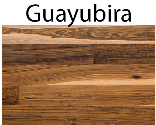 GUAYUBIRA