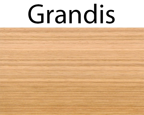 GRANDIS O SALIGNA